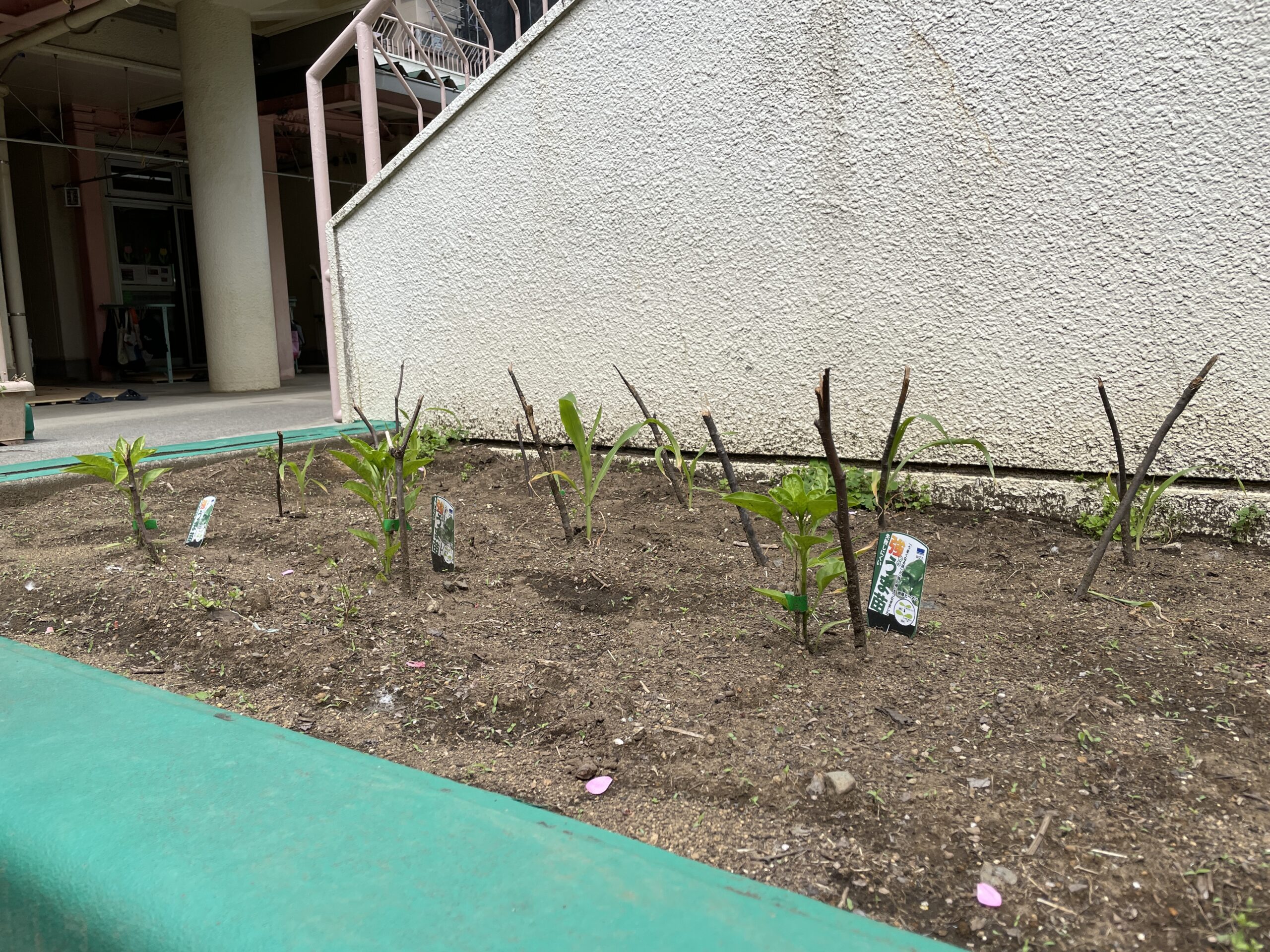 image2025.05.09