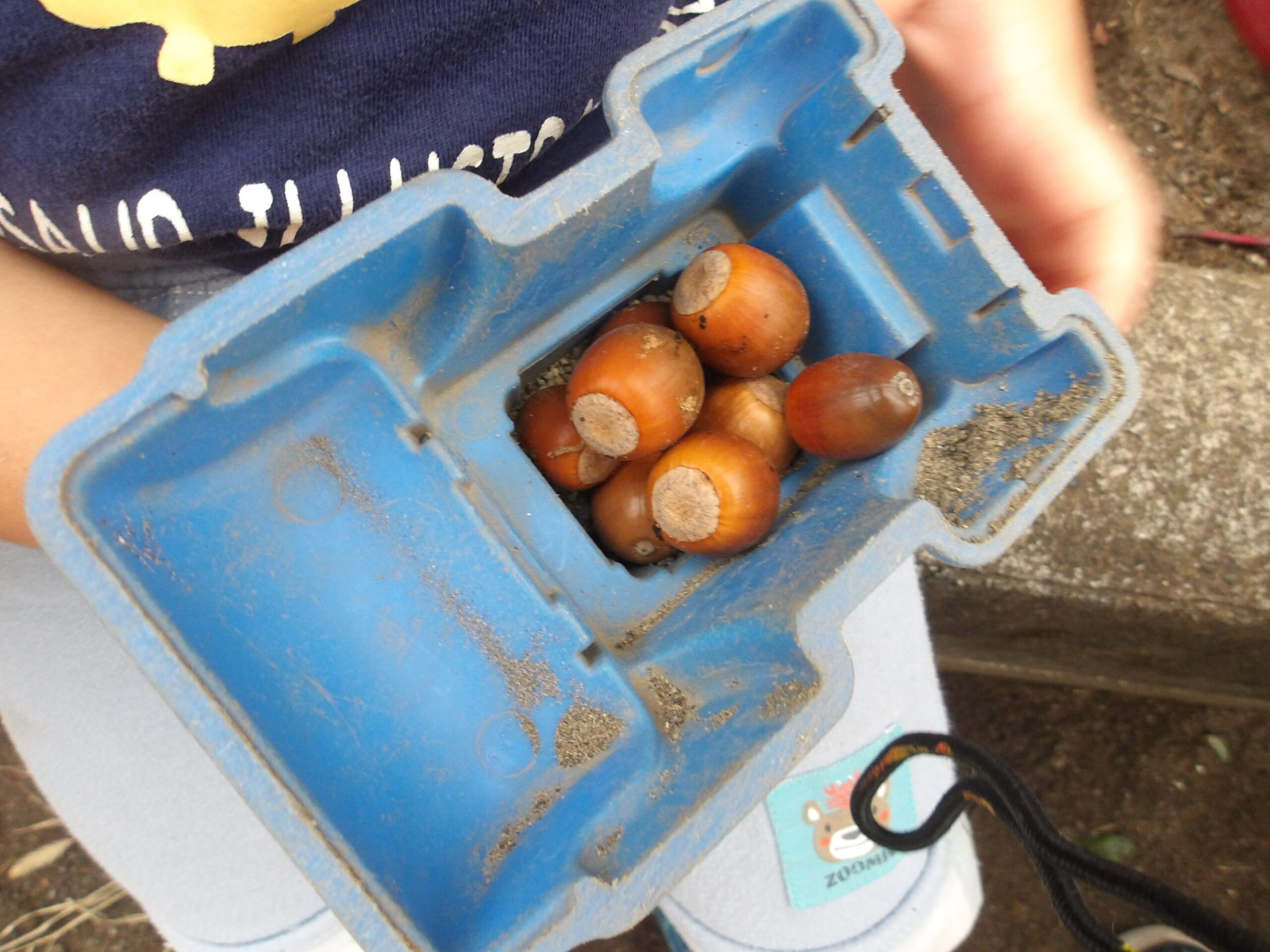 KODAK Digital Still Camera