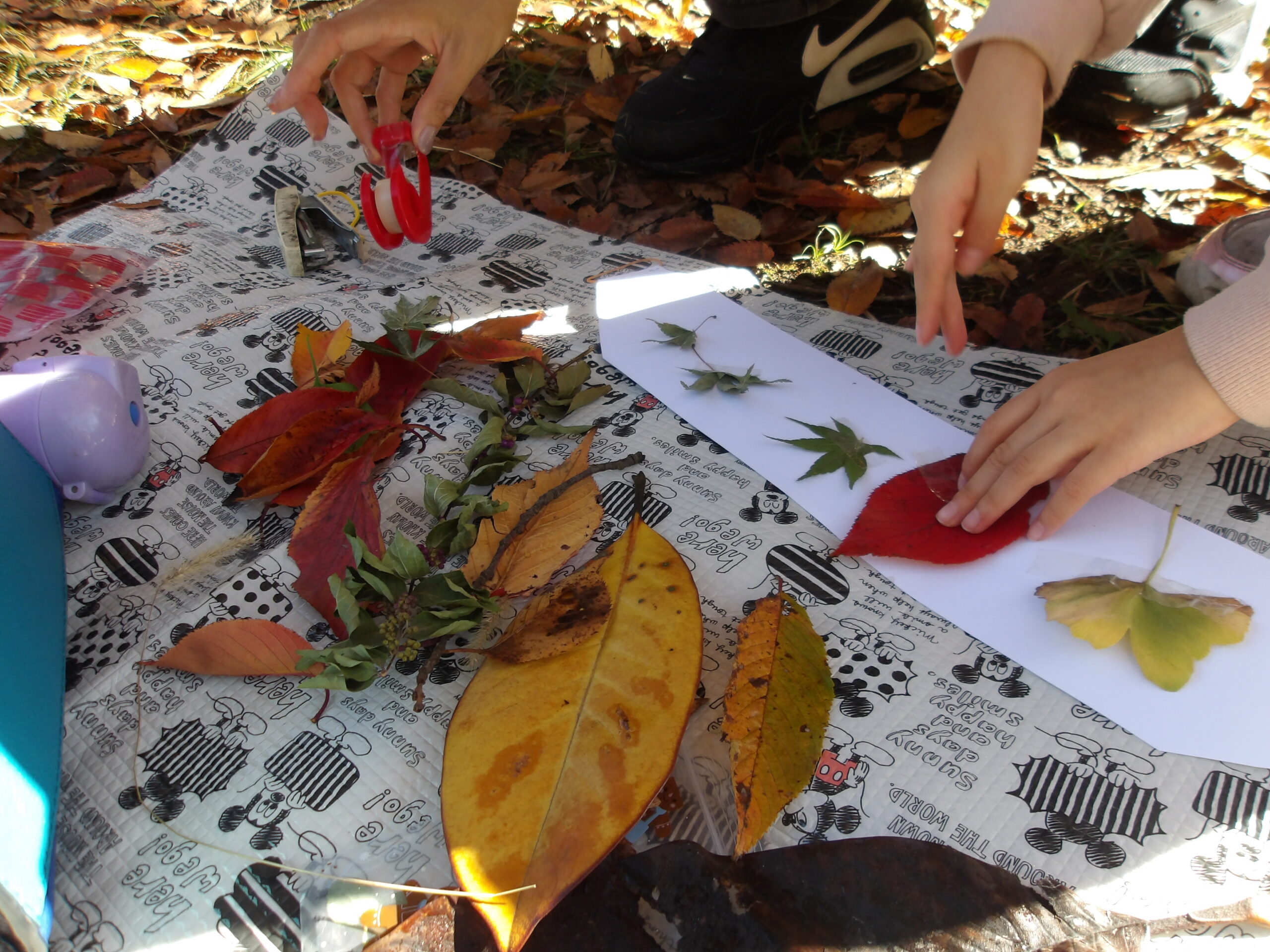 KODAK Digital Still Camera