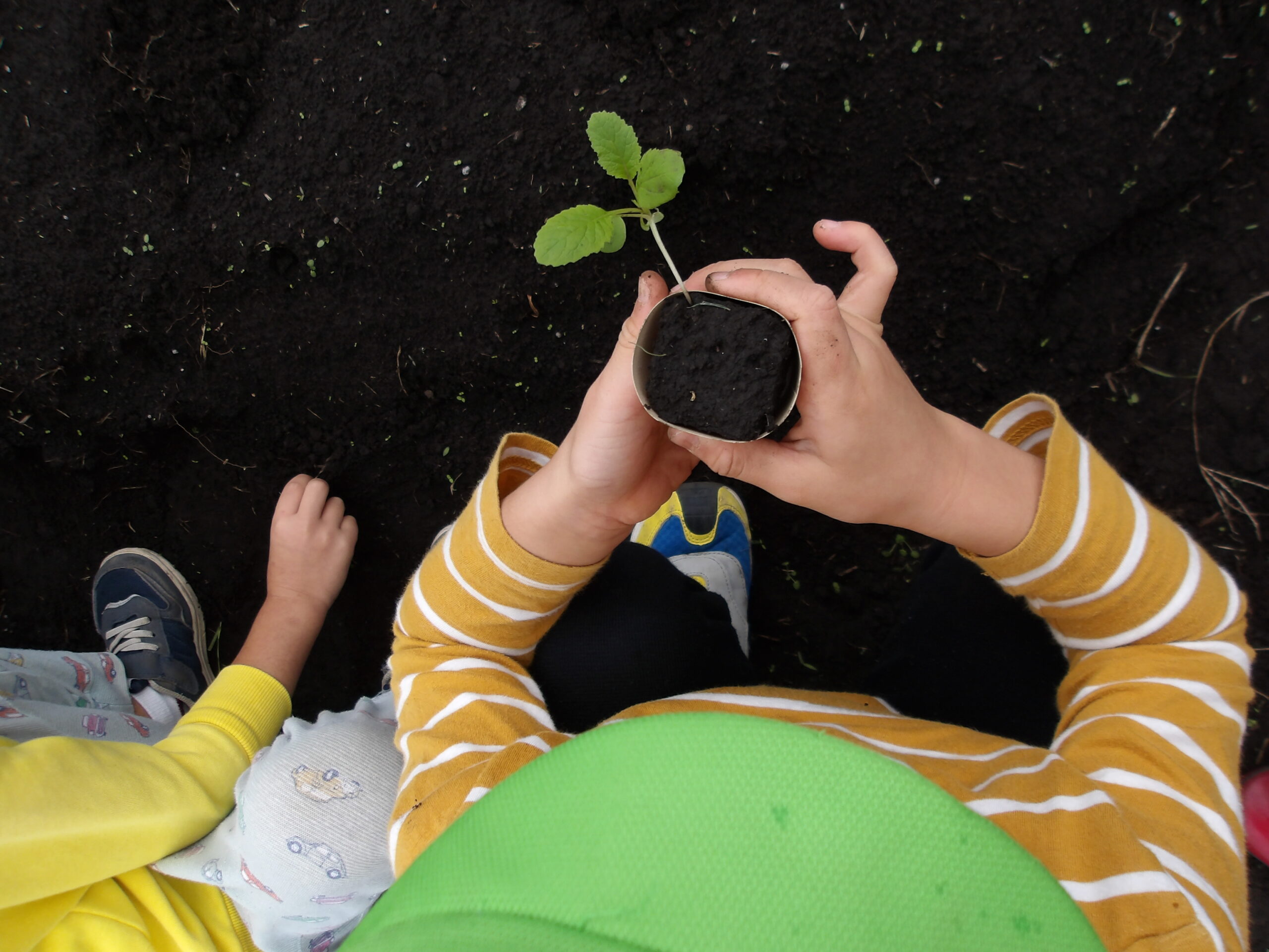 KODAK Digital Still Camera