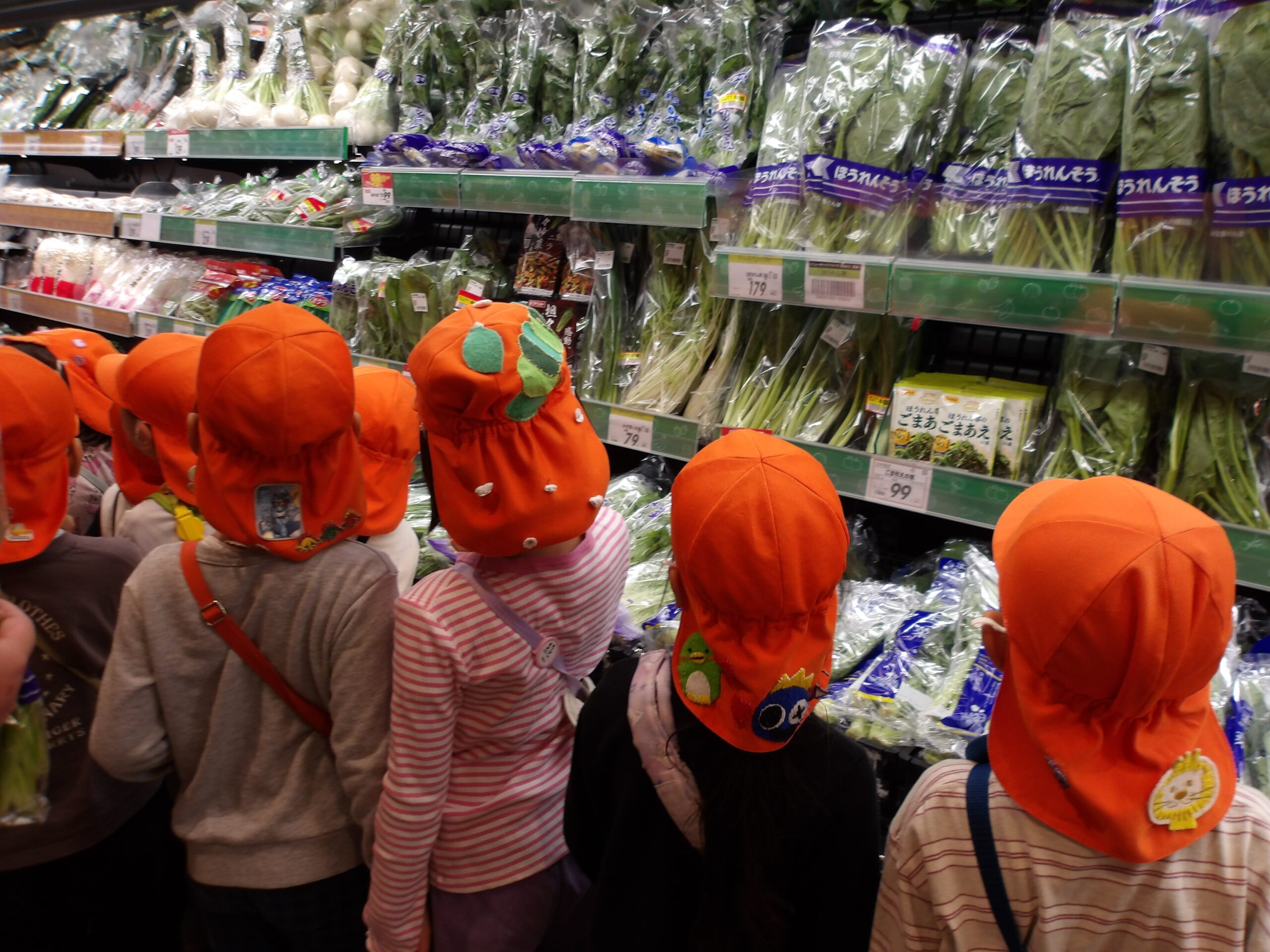 KODAK Digital Still Camera